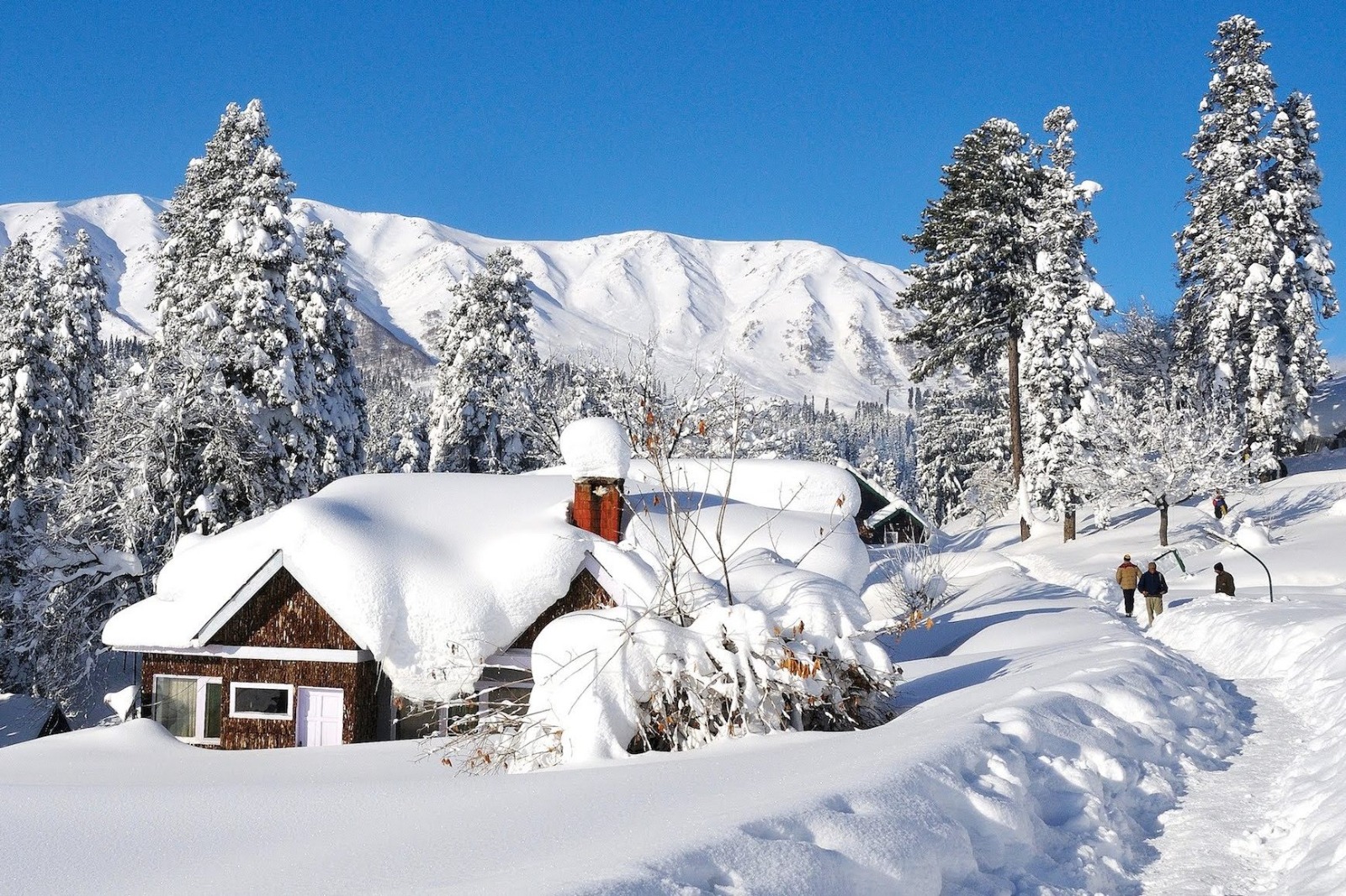 Day 2 : Srinagar - Gulmarg- Srinagar (50 kms / 1-2 hrs)